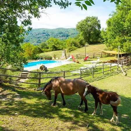 Villa Bellavista Arezzo